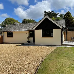 https://springfield-lodge-adorable-new-forest-1-bedroom-guest-house.bournemouth-hotels.org